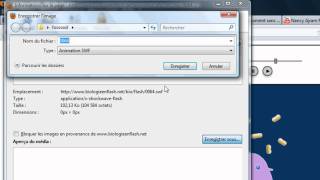 télécharger les animations flash avec le navigateure mozilla firefox [upl. by Fleeta315]