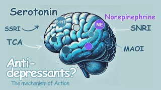 Do you know how Antidepressants work [upl. by Fessuoy]