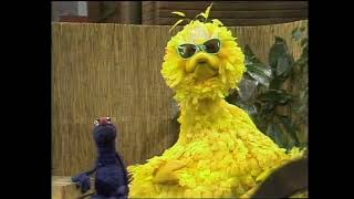 Sesame Street Episode 1154 Street Scenes Up on the roof 1978 [upl. by Per]