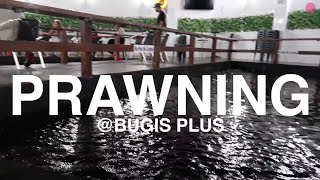 HOW TO PRAWNING CATCHING LIVE PRAWNS AT BUGIS PLUS [upl. by Eleda409]