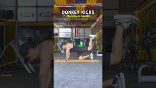 PATADA PARA GLÚTEO 🍑 donkeykicks gluteos glutes patada gymrat gymgirl gym [upl. by Ydnil]