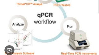 AIIMSampNEET BIOLOGY ampCSIRNET LIFESCIENCES w BIOTECHNOLOGYRealTie Pcr [upl. by Yim]