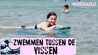 Zwemmen tussen de vissen  CORSICA 2K17  LiveLikeFloor [upl. by Shaylah]