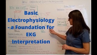 Basic Electrophysiology  a Foundation for EKG Interpretation [upl. by Ithnan486]