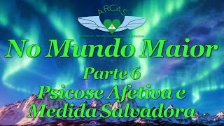 No Mundo Maior  Parte 6 [upl. by Spring]