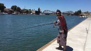 Fishing in the Town of Oakland California [upl. by Yrocaj407]