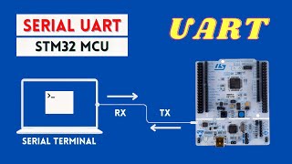 Serial UART with STM32 MicrocontrollerTransmit and Receive Data [upl. by Inek]