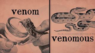 The Power of Poison  Venomous vs Poisonous [upl. by Anna812]