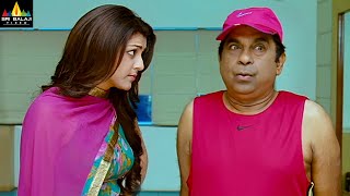 Naayak Movie Comedy Scenes Back to Back  Vol 1  Brahmanandam Ram Charan  Latest Telugu Scenes [upl. by Haleak352]