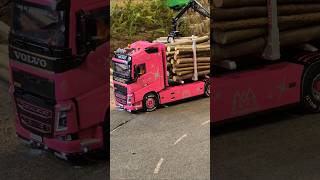 Faszination Modellbau Messe Friedrichshafen  RC Timber Truck [upl. by Ttereve]