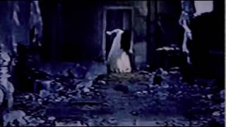 Sadako vs Kayako  Movie Review [upl. by Ettezzus]