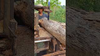 KERAS KAYU JATI KERING‼️Di Gergaji Bandsaw Rakitan [upl. by Lledrev]