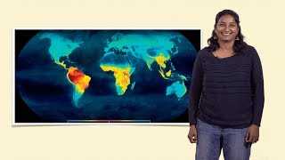 Uma Ramakrishnan NCBS 1 Biogeography Studying the distribution of species across space [upl. by Hoj]