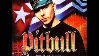 Pitbull  Dammit Man feat Piccalo [upl. by Ettenom532]