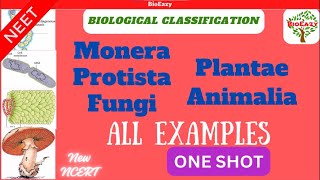 examples of biological classification  Monera  Protista  fungi  plantae  Animalia  algae amit [upl. by Bergeman463]