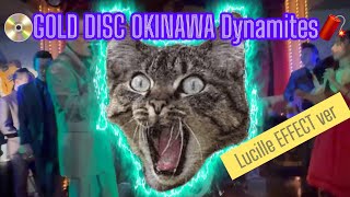 📀GOLD DISC OKINAWA Dynamites🧨 バンドメンバー紹介🎷🎸🥁 [upl. by Adnorehs]