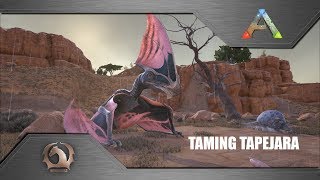 Ark Survival Evolved  Taming Tapejara [upl. by Akinad]