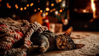 Cozy Purring Cat ASMR  Peaceful Winter Evening Fireplace and Gentle Purr [upl. by Loesceke]