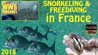 Snorkeling in the South Of France 2018 Fishes amp empty shells [upl. by Talley735]