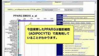 GNF SymAtlasで各臓器における遺伝子発現プロファイルを調べる [upl. by Slein426]