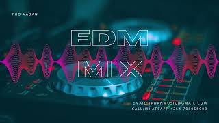 Music Mix 2024 🎧 EDM Remixes of Popular Songs 🎧 EDM Music Mix ​ [upl. by Zilevi]