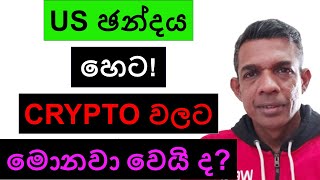 US ඡන්දය හෙට  CRYPTO වලට මොනවා වෙයි ද [upl. by Groh]