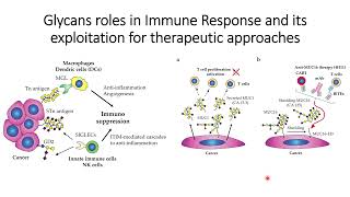 Cancer Glycans role in Immunosuppression and Therapeutic Approaches Code 467 [upl. by Olodort]