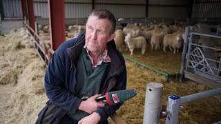 Gareth Owen  Blade Shearing for Baavet [upl. by Seumas]