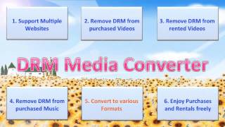 Introducing DRM Media Converter Remove DRM and Convert VideoAudio on Windows [upl. by Atikcir]