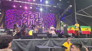 Steel Pulse Bodyguard at Caliroots 2023 [upl. by Tram]