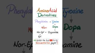 Amino Acid Derivatives  Part 1…biochemistry biology science nurse doctor mbbs nclex usmle [upl. by Halak829]