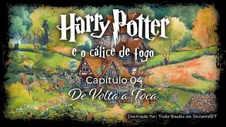 Harry Potter e o Cálice de Fogo  Capitulo 04  De Volta a Toca [upl. by Sachiko]