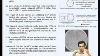 Mod08 Lec29 Cloning and Expression vectors [upl. by Darbie727]