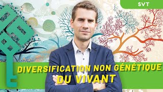 Diversification non génétique du vivant  Terminale SVT  Bac 2025  La Boite à Bac [upl. by Leor]