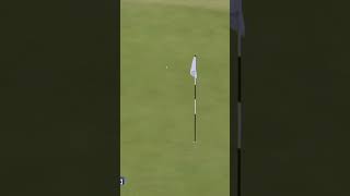 WHAT A GOLF SHOT [upl. by Adnilram]