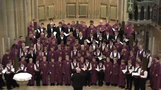 Knabenchor capella vocalis amp Nidarosdomens Guttekor quotAve maris stellaquot Edvard Grieg Stuttgart 2015 [upl. by Netsirk872]