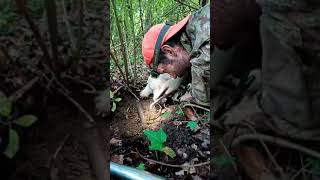 Andare a Tartufi che AVVENTURA la MAGIA della cerca del TartufoBianco con il Lagotto Romagnolo [upl. by Harrak781]