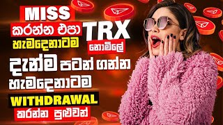 How to earn free trx  tron coin sinhala  free tron coin sinhala  free tron  Succeed Pathway [upl. by Gnaw574]