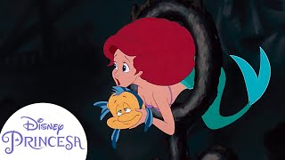 La Sirenita salva a Flounder de un tiburón  Disney Princesa [upl. by Lindberg]