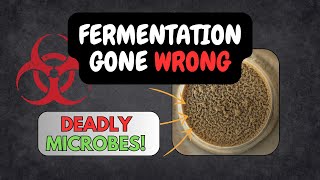 3 Common Fermentation Mistakes That Can Ruin Your Sauerkraut How to Ferment Sauerkraut Safely [upl. by Gerhan]