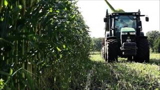 Maisernte 2k15 beim AgrarServiceWessendorf ASW John Deere  Krone  Fendt  New Holland [upl. by Eitsyrhc]