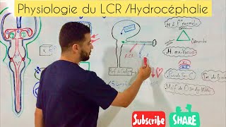 Physiologie du LCR Hydrocéphalie HIC [upl. by Cavil]