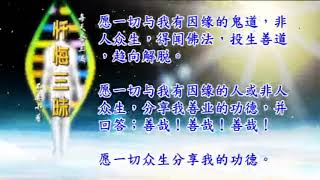 懺悔三昧12次  腦場意識健生法音樂1次 [upl. by Gilli271]