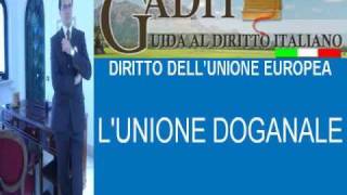 13 DIRITTO DELLUNIONE EUROPEA LUNIONE DOGANALEwmv [upl. by Mcfadden664]