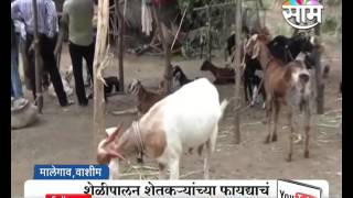 Goat farming workshop In Shirpur helps farmers to gather knowledge about goat farming [upl. by Kimmy576]