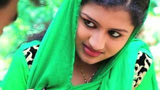 നിറം മാറിടുന്ന പ്രണയം  Malayalam Album Song 2016  Sankadavum Nombaravum  Hashim Manachira Albums [upl. by Ardnoyek]