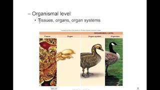 General College Biology  CH01a Science of Life [upl. by Osmond]