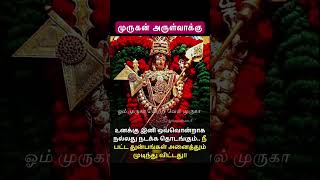 திருச்செந்தூர் முருகன் அருள் வாக்கு  Tiruchendur Murugan Temple lordmurugan tamil god ஓம்சரவணபவ [upl. by Oleg173]