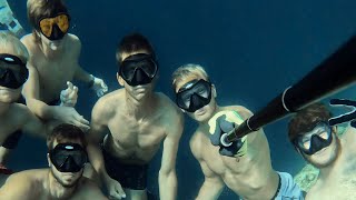 Blue hole adventures in The Bahamas Underwater wildlife🇧🇸 [upl. by Adis2]