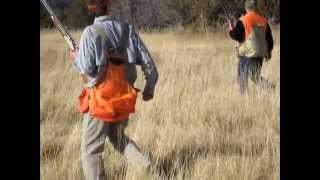 Pheasant and Upland Bird Hunting in Colorado [upl. by Leirza]